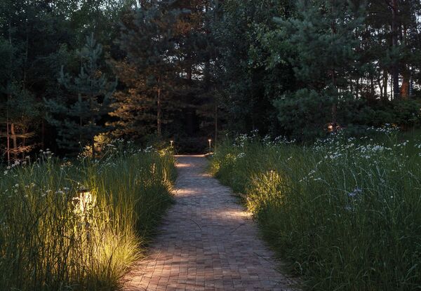 A calm outdoor path with soft morning light